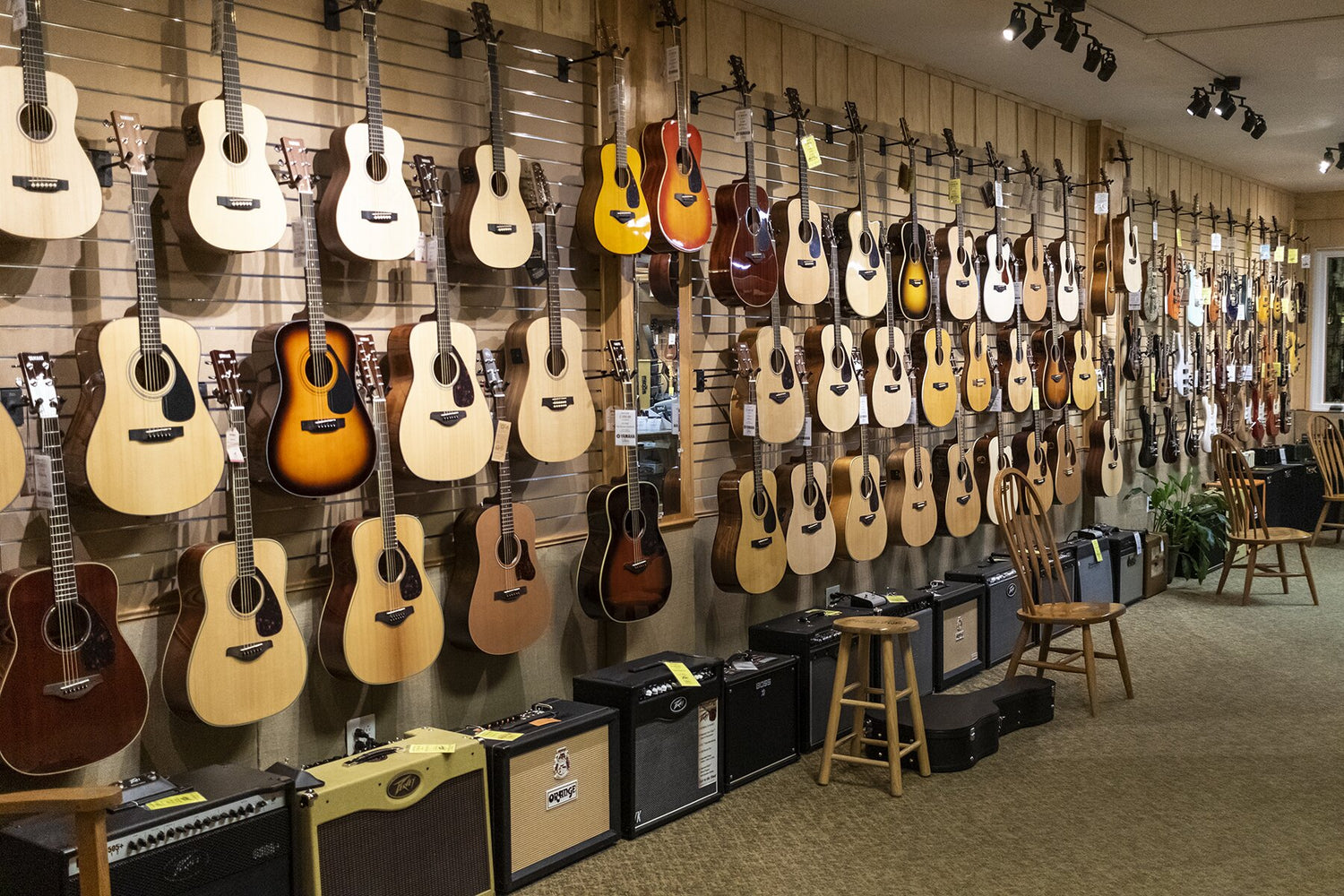 Guitars hanging on the wall in the shop
